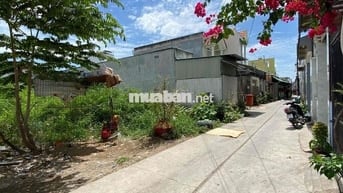 Giảm giá bán nhanh đất ở đường Bờ Xe Lam, Bình Chánh