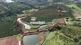CẦN BÁN GẤP LÔ ĐẤT VIEW XỊN BẢO LỘC