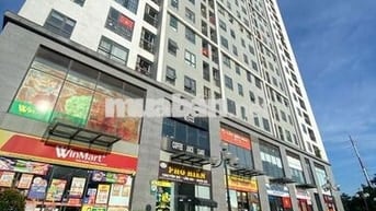 Bán căn hộ Ecohome3, 47m2, 2N,1wc, 3,45 tỷ
