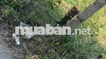 Bán gấp , đất HXH khu phân lô 6 x27 m , QL50 Thạnh Nhựt , Gò Công Tây