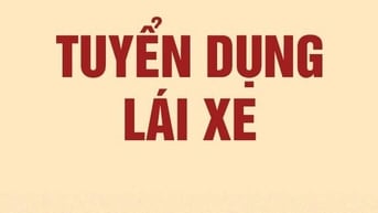 Công ty ở Phú Nhuận cần tuyển 1 tài xế đưa đón lãnh đạo. 