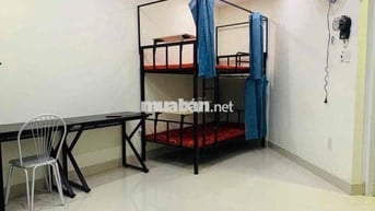 cho thuê giường tầng ký túc xá sinh viên tôn đức thắng - đại học mở