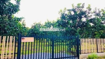 bán đất bcó rào sẵn trồg cây ăn trái