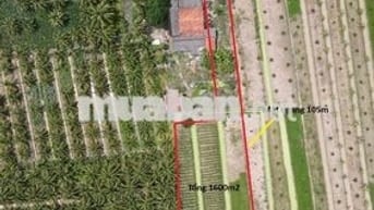 Đất gia đình cần bán 1600m2 CLN đường huyện 28, đạo thạnh. 2tr/m2