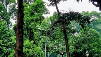 BÁN NHÀ NGAY DINH ĐỘC LẬP & NHÀ THỜ ĐỨC BÀ