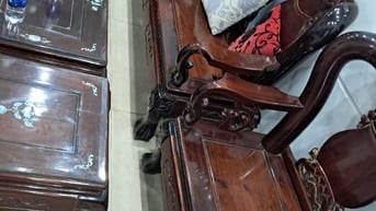Bán bộ bàn ghế phòng khách bằng gỗ Gỏ đẹp, chất lượng. 