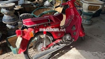 81-50cc
