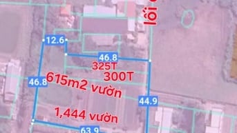 2,685m2 có 625m2 thổ, đường 4,5m, cách TL830, 30m, Đông Thạnh,CG