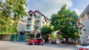 Lô đất mặt phố kinh doanh Tđc 31ha Trâu quỳ, Lô GÓC Dt 110m2 mt 5.3m