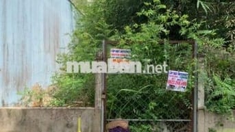 Bán Lô Đất Full Thổ Cư Hẻm 1959 Lê Văn Lương - Nhơn Đức Nhà Bè.