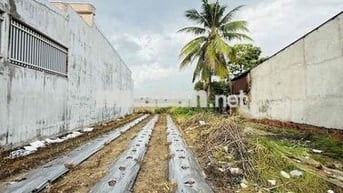 🔥 ĐẤT MẶT TIỀN – ĐỨC HOÀ – DT: 343m2 ( 11 X 34 ) - ĐẤT Ở - CHỈ2.9TỶ