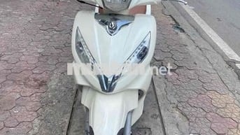 Xe Shark trắng mới tinh