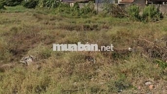 Bán đất Bình Chánh dt 108,5m2 giá 546tr full thổ