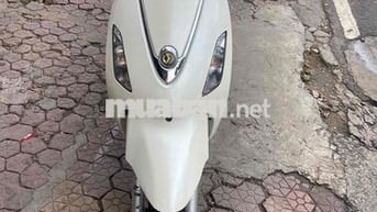 xe Elizabeth trắng biển đẹp