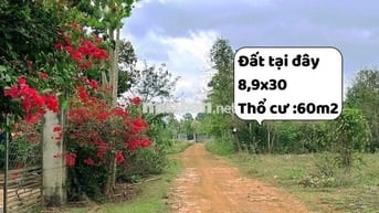 đất ngang 9 Hoà Đông 800 cần bán gấp giá còn tl