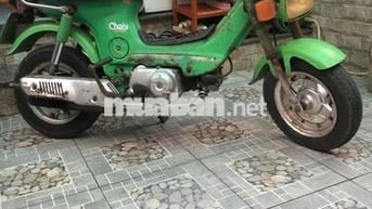 chaly81/50