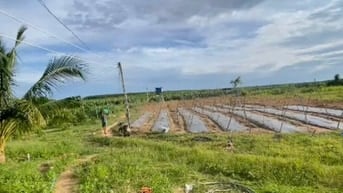 2,4 Mẫu Giá Chỉ 3 Tỷ Tân Hải LaGi Sẵn Nhà Vườn Đường Ô Tô