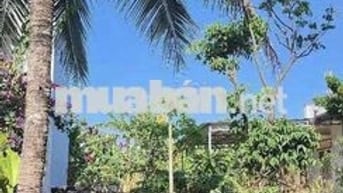 HẠ GIÁ CẦN BÁN GẤP 2,8 TỶ CÒN 2,550 tỷ LÔ HẺM 128 NGUYỄN XUÂN NGUYÊN
