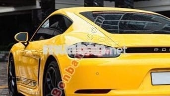 Porsche 718 Cayman Style Edition 2.0 AT 2024