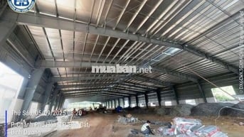 Cho thuê xưởng mới 100% tại Chánh Phú Hoà Bến cát Bình Dương