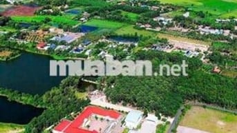 CHỦ NGỘP BÁN NHANH LÔ ĐỐI DIỆN TRƯỜNG TIỂU HỌC LONG MỸ