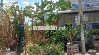 Đất nền phạm văn bạch thạnh hoá