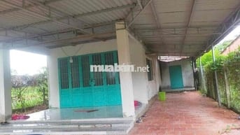 NHÀ NGỘP NGANG 10x31 THỔ 60 SHR 650TR CẨM GIANG