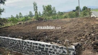 Chính chủ cần bán gấp mảnh đất mặt tiền nhựa