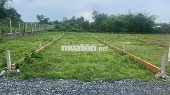 Bán đất Đường ĐT. 826C, Phước Vĩnh Tây, Cần Giuộc, Long An,120m²/420tr