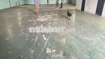 CHO THUÊ KHO,XƯỞNG 300M² Đ XE CÔNG 40F KCN TÂN BÌNH