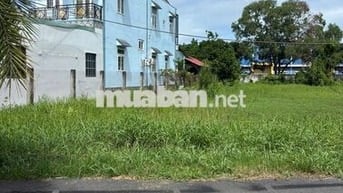 Đất sổ đỏ Đ. Lại Hùng Cường, Vĩnh Lộc B Bình Chánh 80m²/980tr