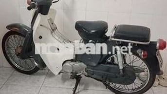 Xe Cúp 50