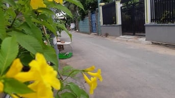 Nhà cho thuê nguyên căn tại Bình Trưng Tây,Quận 2 hướng đông 175m2