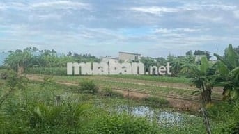 Chính chủ gia đình cần bán đất mặt tiền, trung tâm huyện Bình Chánh