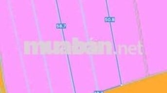 MỘT LÔ ĐẤT ĐẸP NHẤT THỊ TRẤN ĐẤT ĐỎ 
MẶT TIỀN ĐOÀN CHUNG CÒN, 
Dt 1008