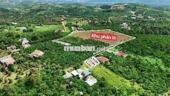ĐẤT TÂN LẠC SẴN THỔ CƯ GIÁ CỰC ƯU ĐÃI
