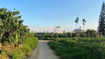 2000m2 mặt tiền 16m2 thôn 1 cách chợ cũ Lộc An 500m