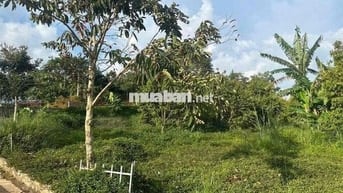 KẸT TIỀN TRẢ LÃI CHỦ NHỜ BÁN GẤP SIÊU PHẨM BẢO LỘC 2500m2, giá chỉ 300