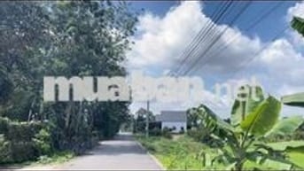 Đất mặt tiền nhựa kinh doanh TP HCM chính chủ chỉ 5xx tr hỗ trợ bank