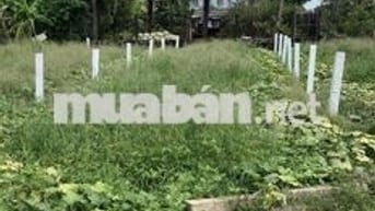 giá : 380tr/ 126m2 thổ cư , quê mỹ thạnh - tân trụ - long an