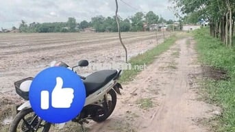 Đất ninh điền. Chỉ 165 triệu hết đất