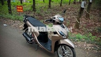 vision màu tft vespa full kiểng