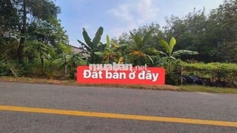 Bán đất , đường lớn an nhơn Tây 10X20 Thổ 150m. Tại Củ Chi