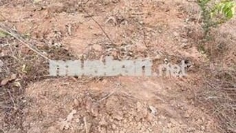 Chủ ngộp bán gấp, 6x27, full thổ, chỉ 159tr, sổ hồng riêng