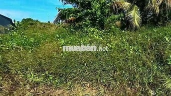 Thu hồi vốn lô đất MT Nguyễn Văn Thới , Quy Đức,Bình Chánh 80m2 772tr