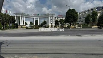 Đất mặt tiền tl826 dt 3532m thổ + lúa. Giá 65tỷ Đất đối diện Ecocity