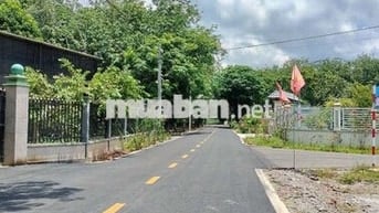 Đất rẻ 199tr có ngay 300m² - 100TC đất đẹp đừong nhựa dân cư hiện hữu