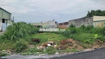 (5) TRỜI ƠI💥ĐẤT 2MT CỰC ĐẸP NÈ MỌI NGƯỜI ƠI - XÃ TÂN PHÚ TRUNG
