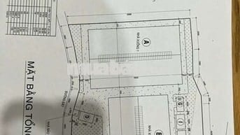 _Bán đất xây dựng kho xưởng 
_Phước Hoà ,Phú Giáo, Bình Dương