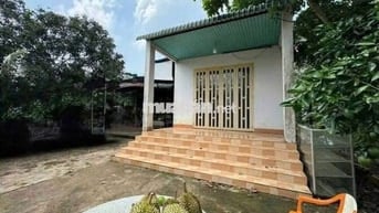 Chính Chủ Bán Ngộp Nhà cấp 4, Vườn Cây Trái rộng 2600m2, Giá 630 triệu